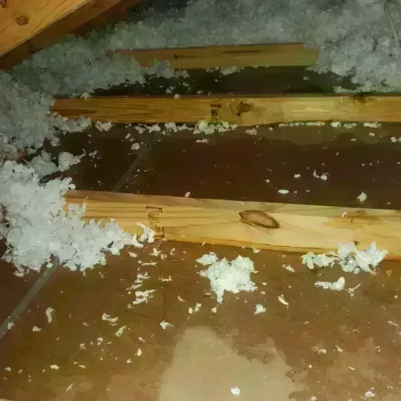 Attic Water Damage in Beaver Dam, WI