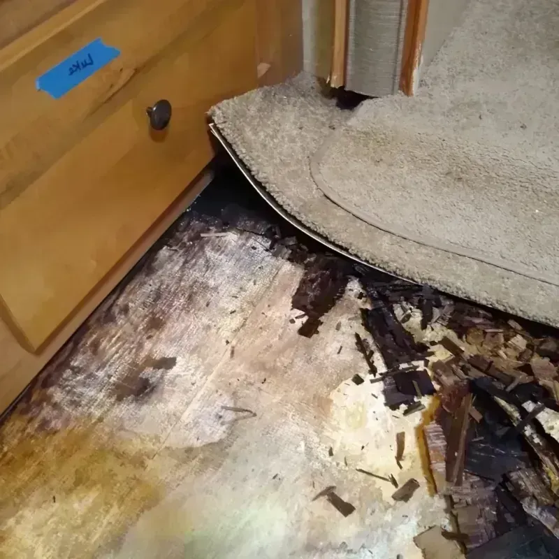 Wood Floor Water Damage in Beaver Dam, WI